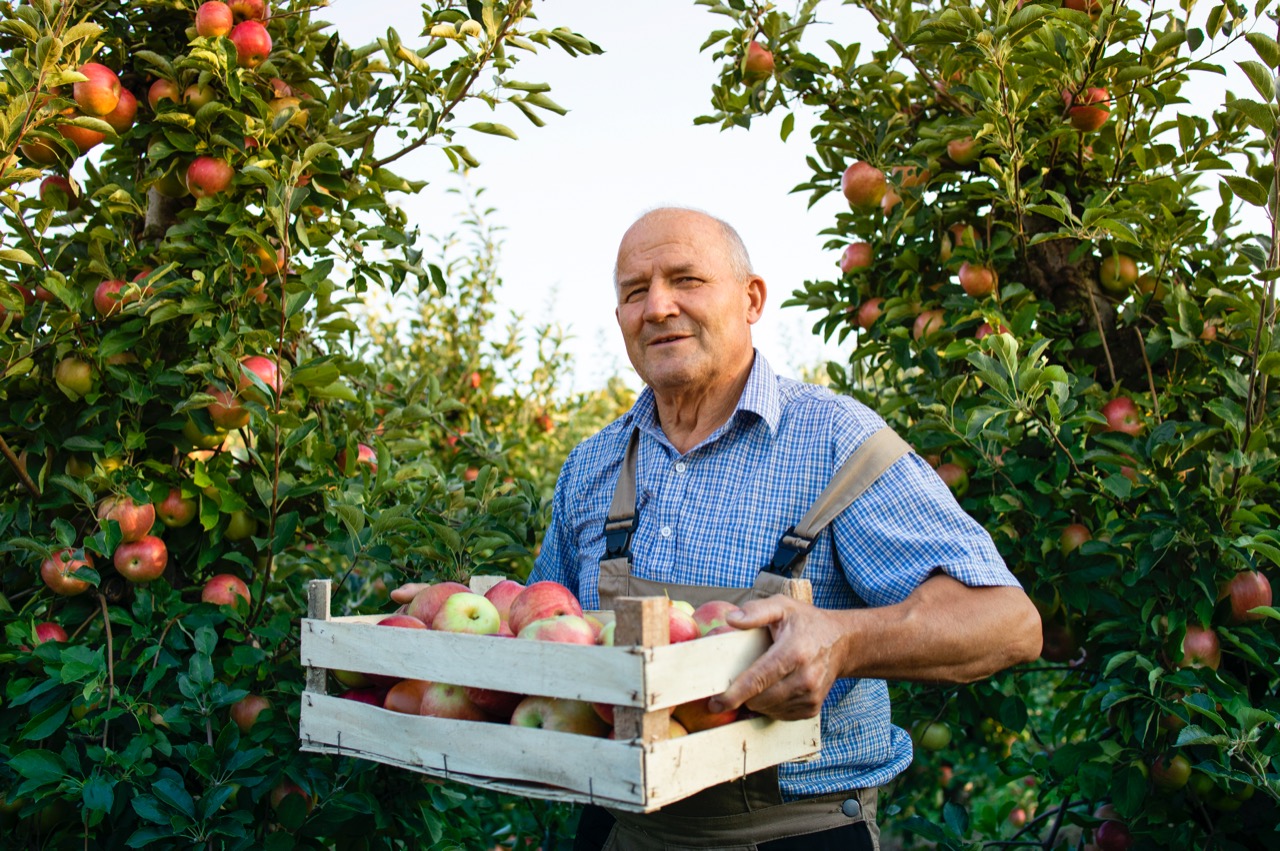 Mentoria de fruticultura para mercados internacionais